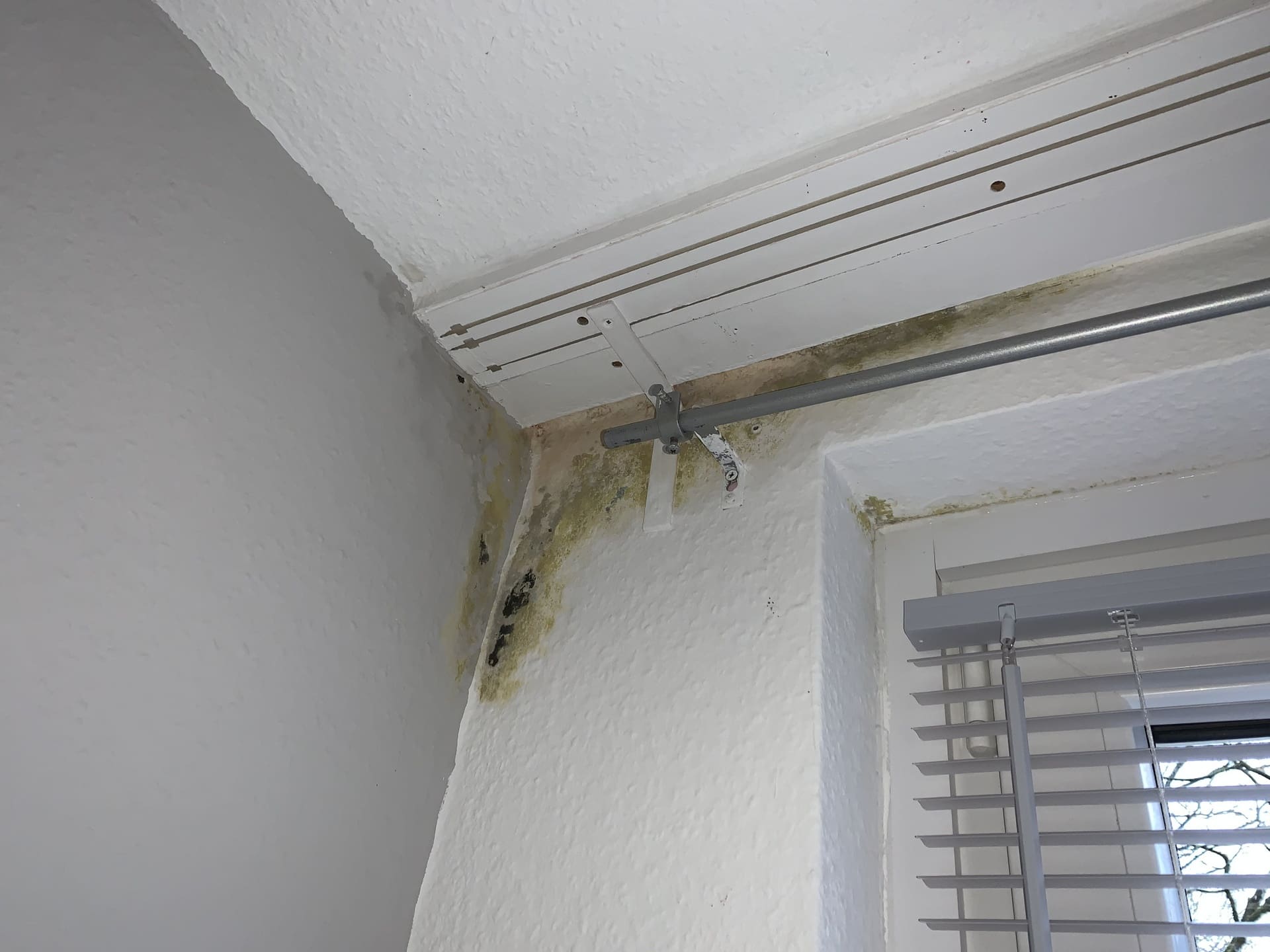 Feuchte Wand mit Schimmel - So weit sollten Sie es nicht kommen lassen! Holen Sie sich jetzt die Unterstützung unserer Experten! (© Maik / stock.adobe.com) Feuchte Wand mit Schimmel - So weit sollten Sie es nicht kommen lassen! Holen Sie sich jetzt die Unterstützung unserer Experten! (© Maik / stock.adobe.com)