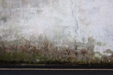 Mauerentfeuchtung | Beton-Mauer mit Feuchteschaden (© Fotoschlick / stock.adobe.com) - Bauschaden?