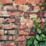 Mauertrockenlegung: Unterschiedliche Verfahren, unterschiedliche Firmen, unterschiedliche Kosten (© Domingo / stock.adobe.com)