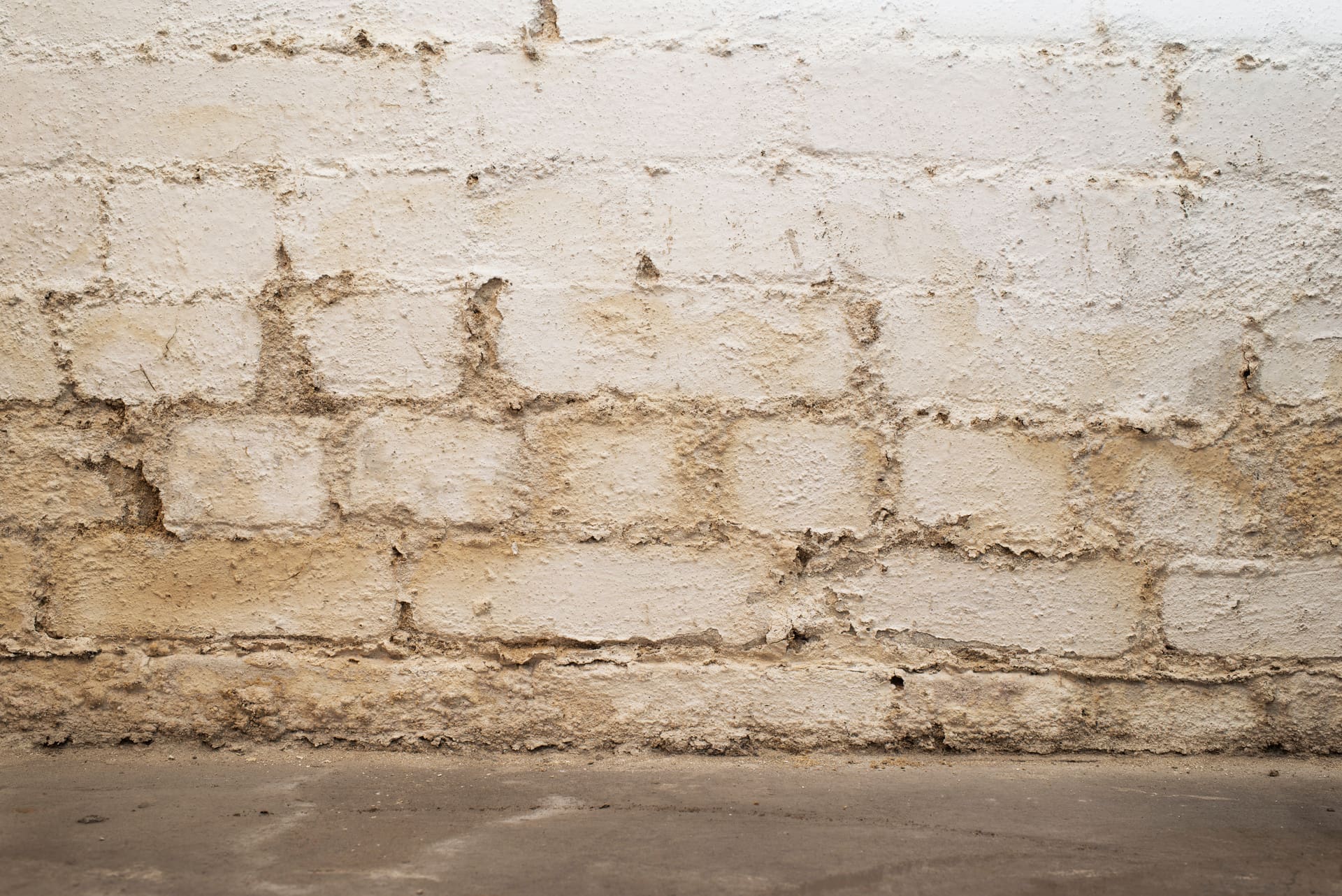 Nasser Keller | Nasse Wand im Keller, und was nun? (© schulzie / stock.adobe.com)
