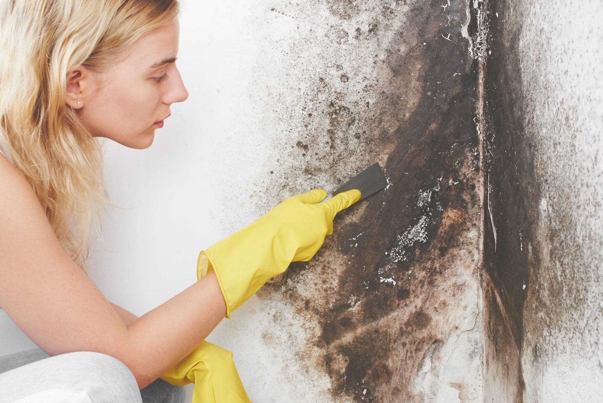 Einen derartig großflächigen Befall der Wände mit Schimmel sollte man nicht selbst versuchen zu entfernen; hier helfen auach keine Hausmittel mehr. Schalten Sie einen Profi ein, der auch die Ursache ermittelt und bekämpft. (© amixstudio / stock.adobe.com) Einen derartig großflächigen Befall der Wände mit Schimmel sollte man nicht selbst versuchen zu entfernen; hier helfen auach keine Hausmittel mehr. Schalten Sie einen Profi ein, der auch die Ursache ermittelt und bekämpft. (© amixstudio / stock.adobe.com)