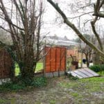 Sturmschaden im Garten - wer zahlt? (© Kriste / stock.adobe.com)
