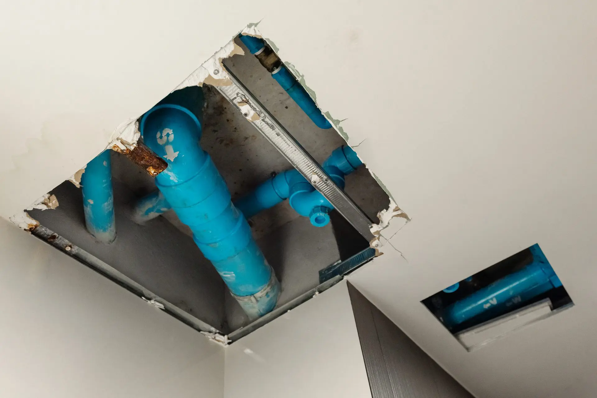 Wasserschaden beheben - in der Regel brauchen Sie eine spezialisierte Firma für Wasserschadensanierungen (© SasinParaksa / stock.adobe.com) Wasserschaden beheben - in der Regel brauchen Sie eine spezialisierte Firma für Wasserschadensanierungen (© SasinParaksa / stock.adobe.com)